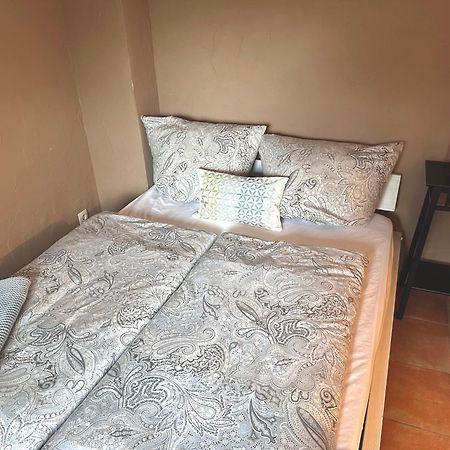 Apartement Am Schloss Pillnitz دريسدن المظهر الخارجي الصورة